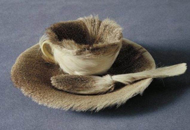 Object Meret Oppenheim