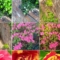 Colours in spring