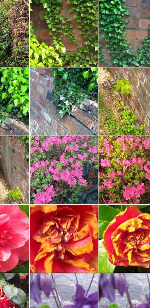 Colours in spring #1