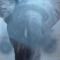 Larger paintings process and evaluation